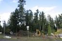 Trees versus houses: November 2005